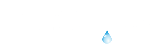 Primary Solutions Consulting