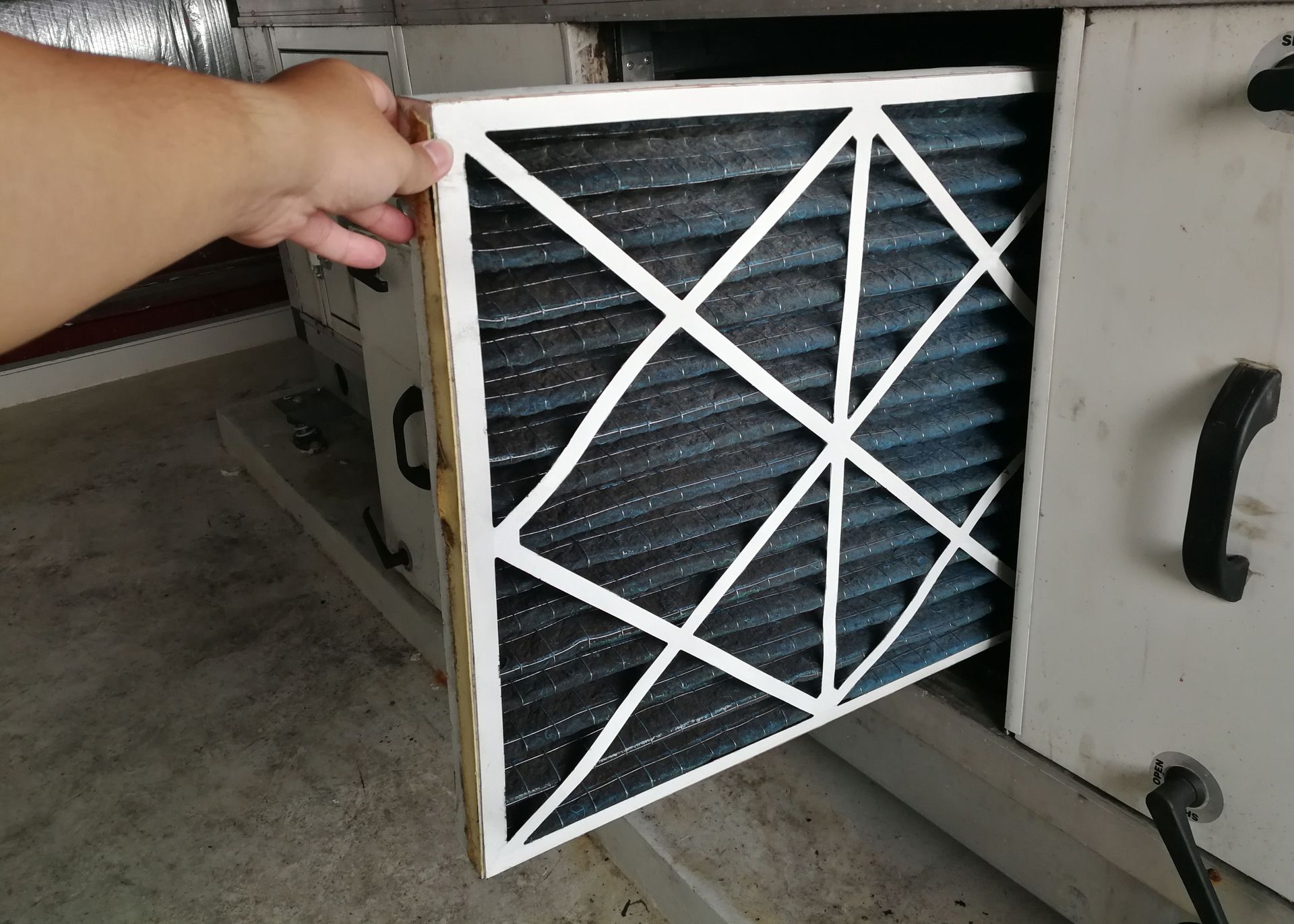 A person is holding a filter in their hand.