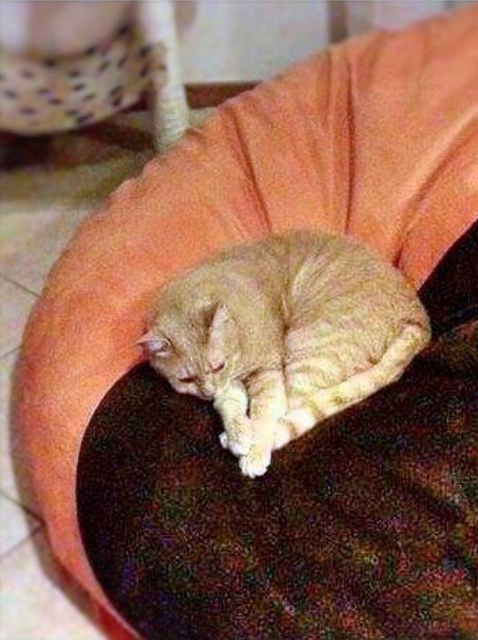 Poltrona sacco Nuvola