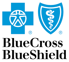 A blue cross and blue shield logo on a white background.