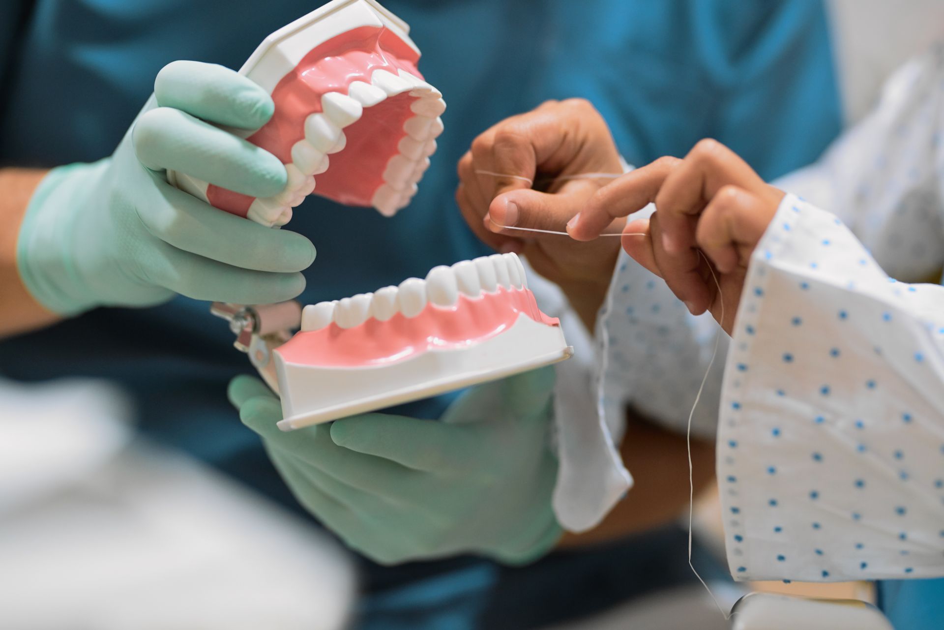 A dentist is flossing a patient 's teeth while holding a model of teeth.