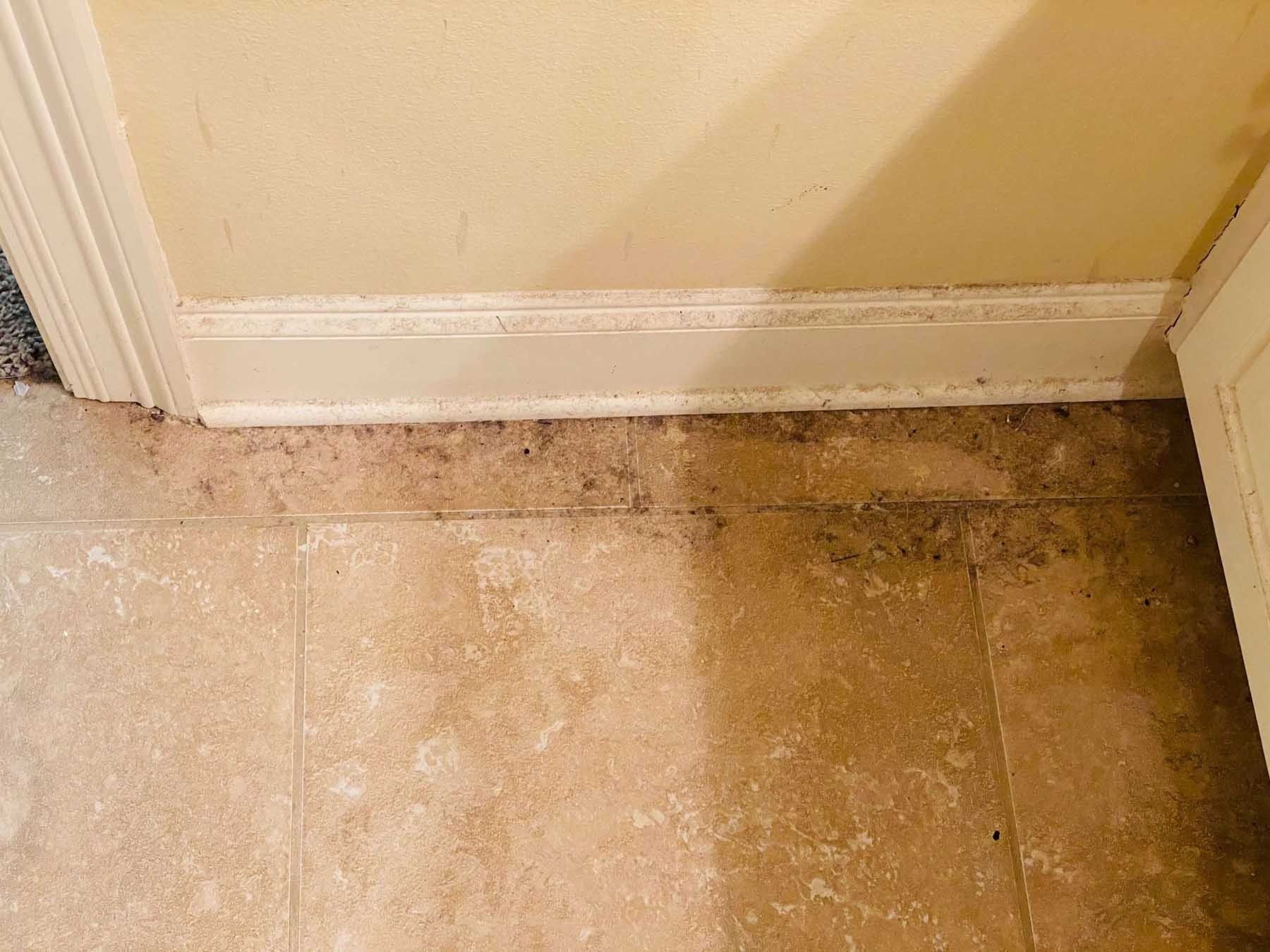 Beige tiled floor meets beige wall with white baseboard. Dark staining near baseboard.