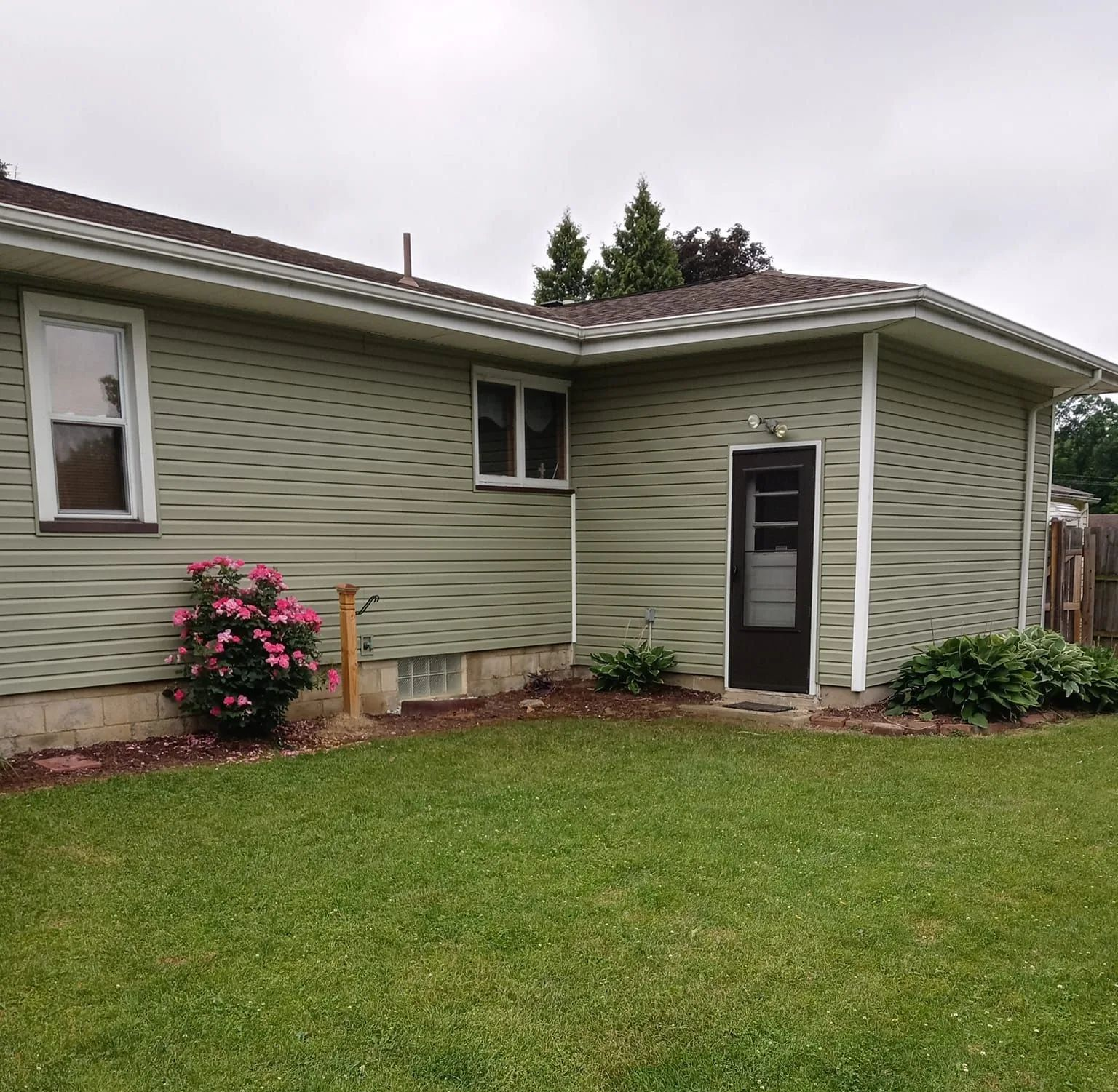 Green house with a door and windows, pink rose bush, and green lawn.