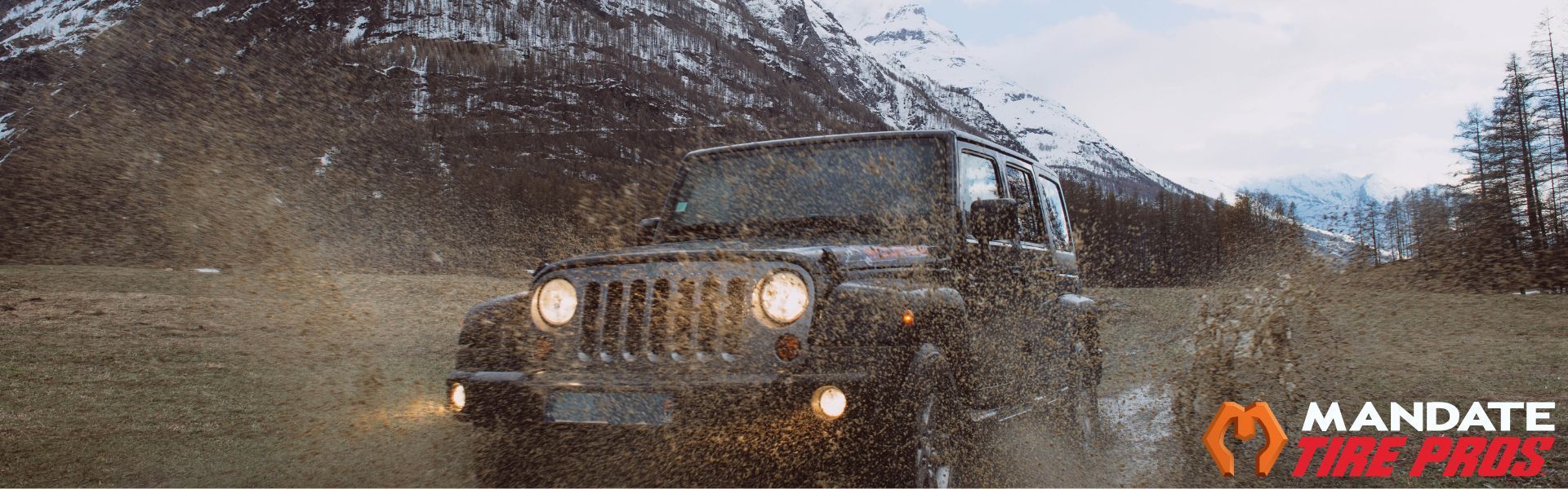 Ford F150 Tires Mandate Tire Pros