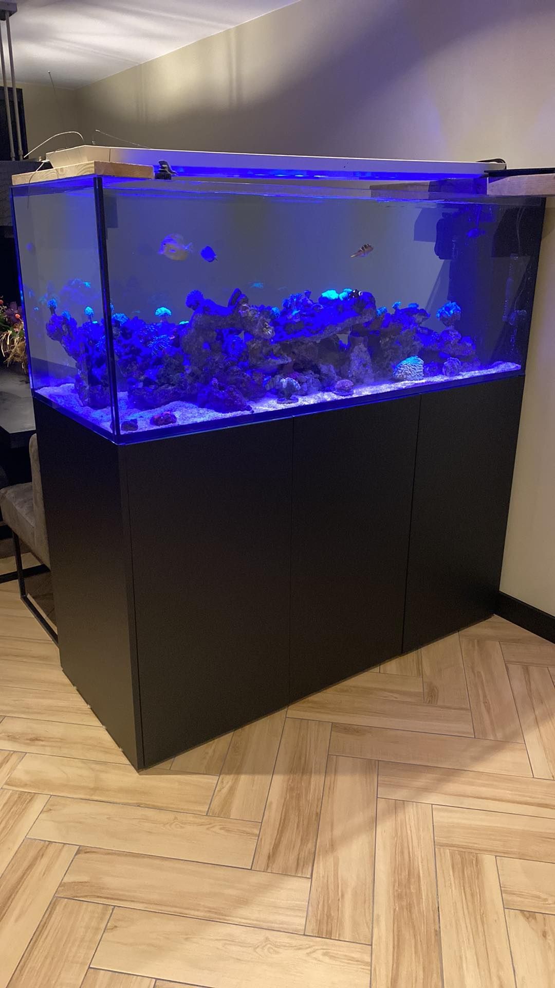 Aquarium wrappen resultaat Coverstyl NE81