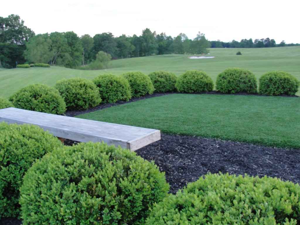 Lawn Services— Clean Lawn with Small Bushes — Louisville, KY