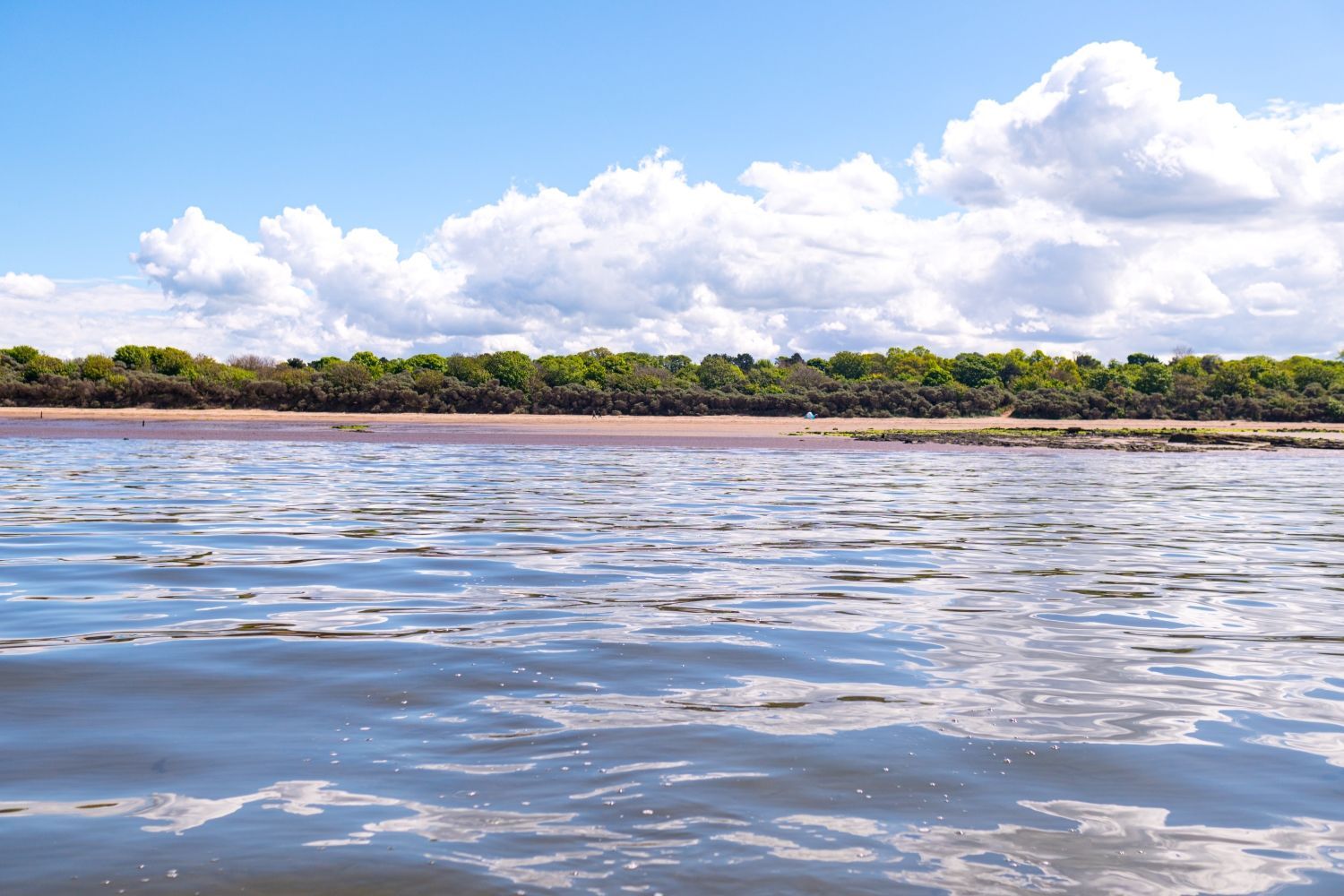 Longindry Swimming at Longniddry Bents 1