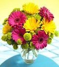 image-140567-Daisy1.jpg?1421446608713