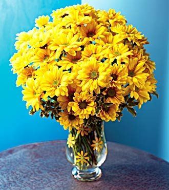 Daisy #16 $65