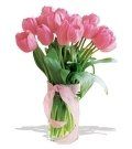 image-210223-140599-Tulip 1 45.jpg?1421448013916