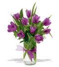 image-210223-140599-Tulip 1 45.jpg?1421448013916