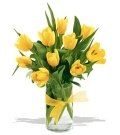 image-210223-140599-Tulip 1 45.jpg?1421448013916