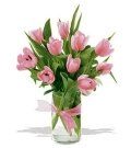 image-210223-140599-Tulip 1 45.jpg?1421448013916