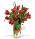 image-210223-140599-Tulip 1 45.jpg?1421448013916