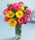 image-1454643-daisy.jpg