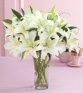Lily #2 $95