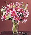 Lily #7 $95