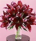 Lily #8 $95