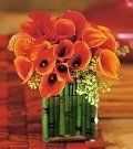 Lily #20 $150