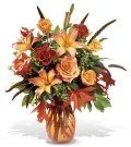 Lily #26 $85