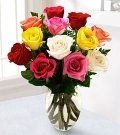 Rose #20 $50