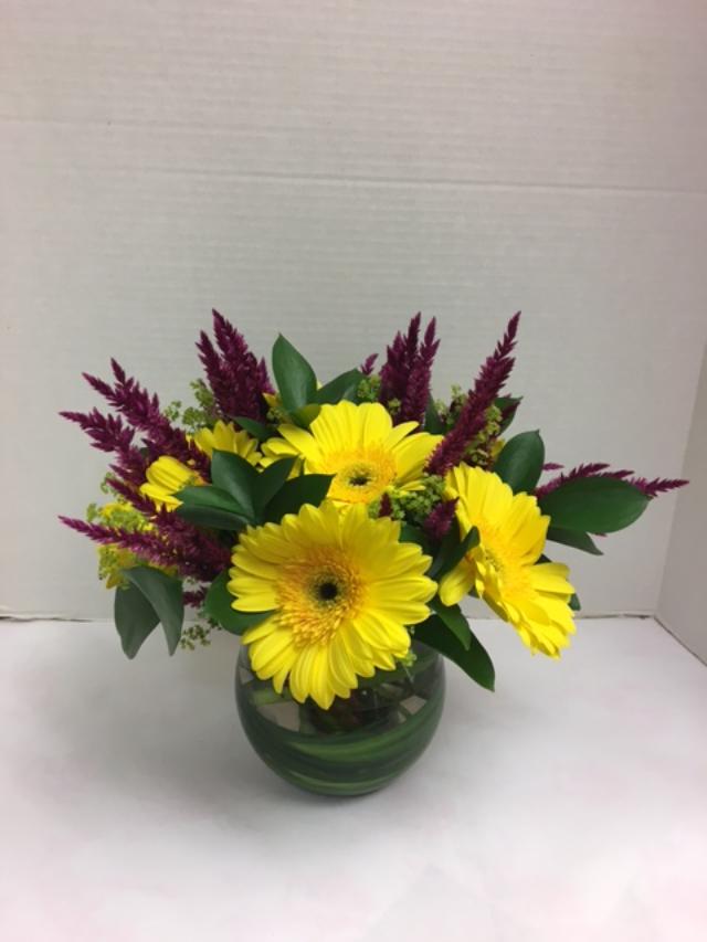 yellow daisy