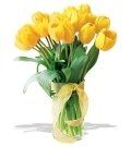 image-210223-140599-Tulip 1 45.jpg?1421448013916