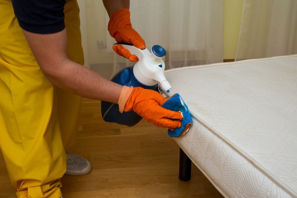 Person Cleaning Mattress With Spray Bottle And Cloth