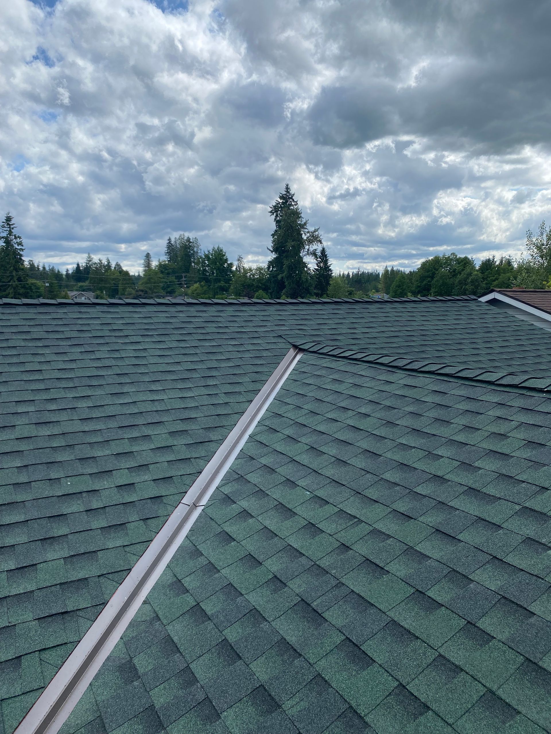 Green shingled roof with a white metal ridge cap under a cloudy sky.