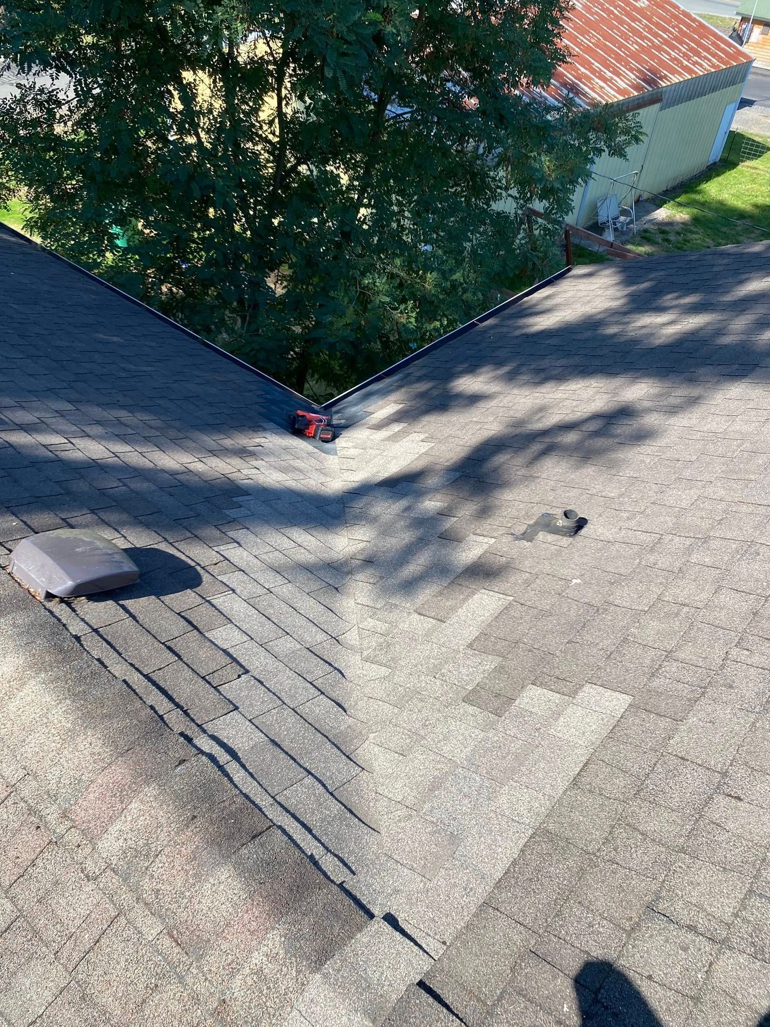 A rooftop with weathered shingles and a tree in the background, casting shadows.