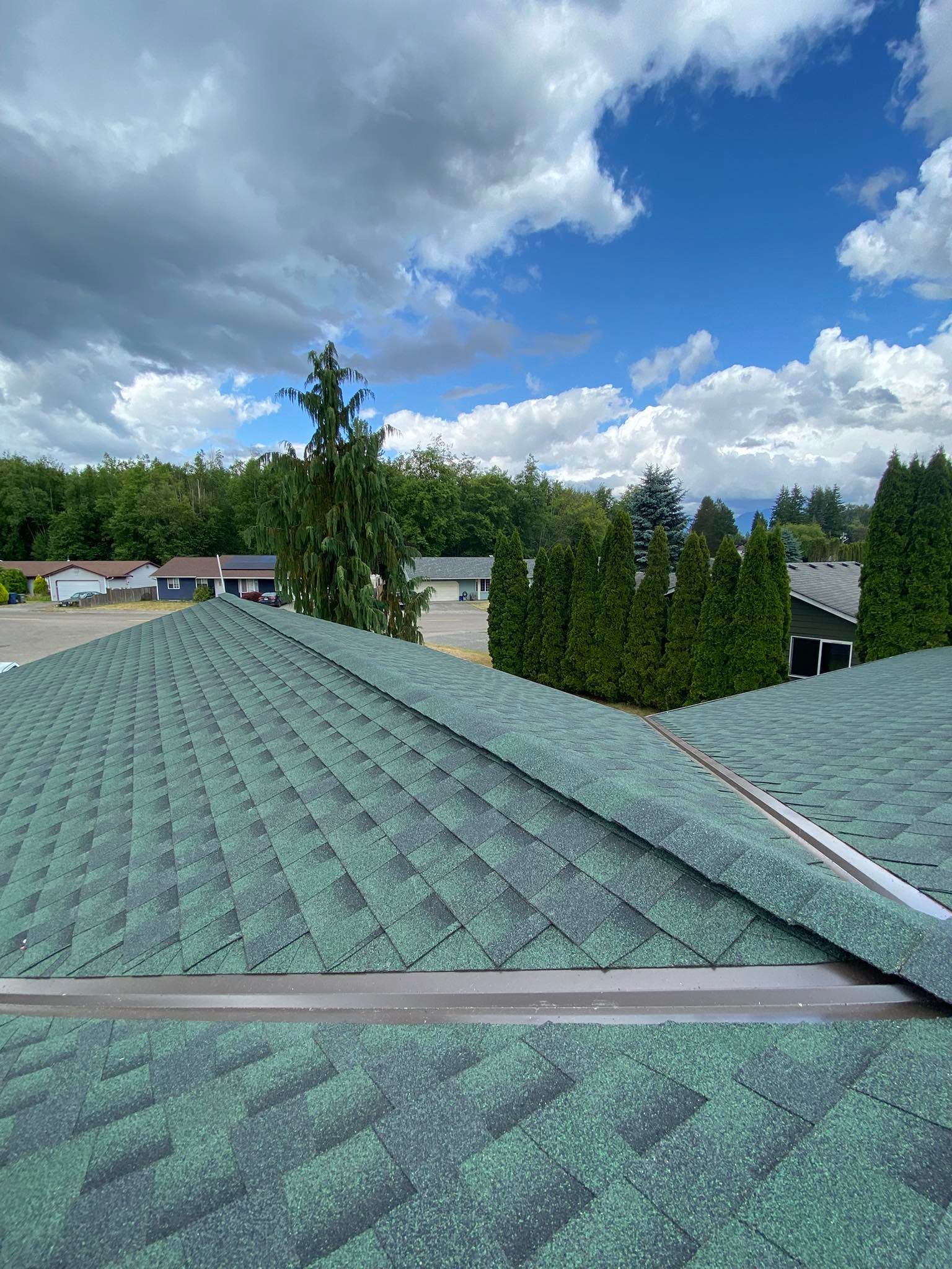 Green shingle roof with a cloudy blue sky in the background, surrounded by trees and buildings.