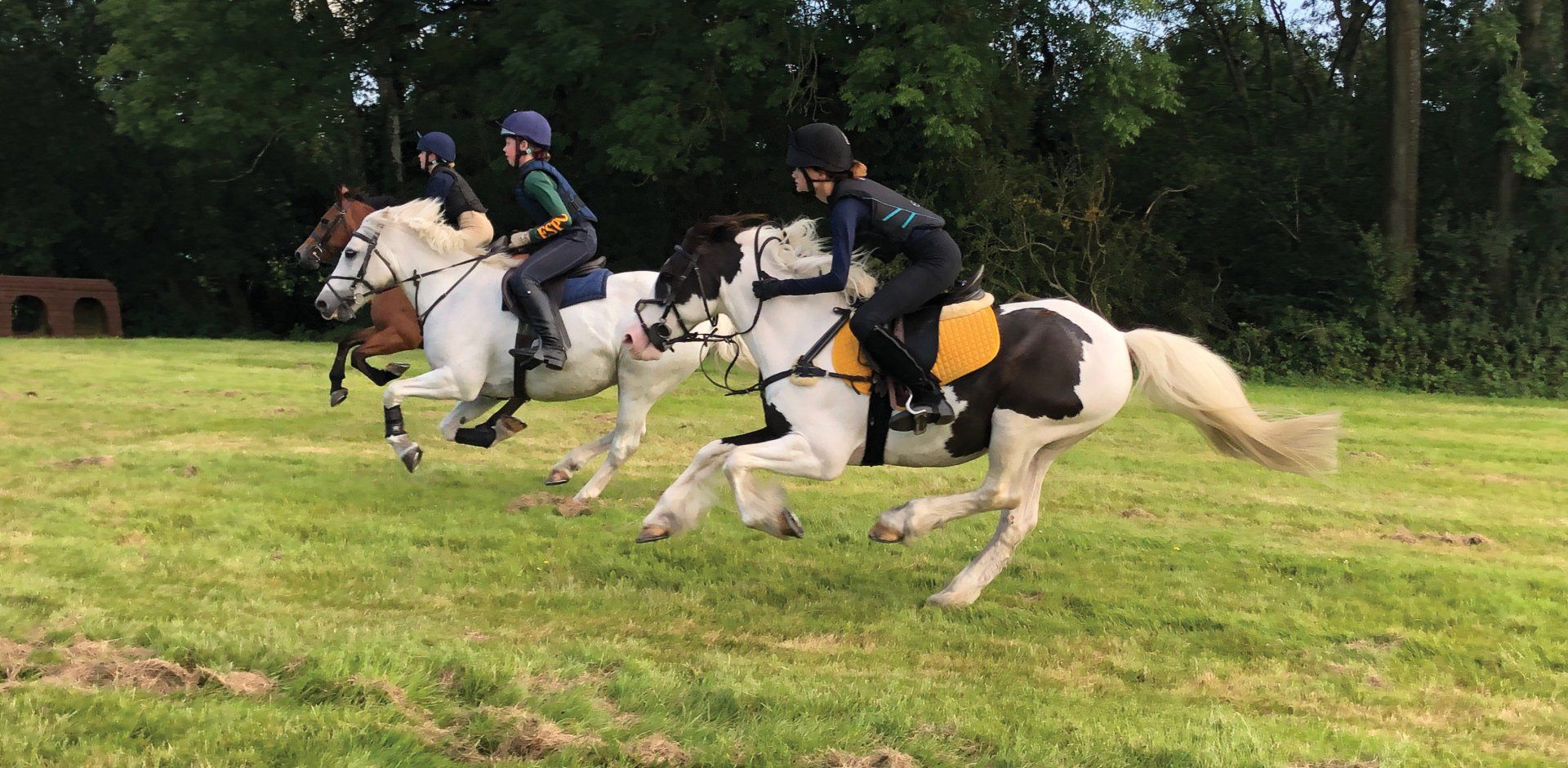 Pony Club Race Day at Ascot