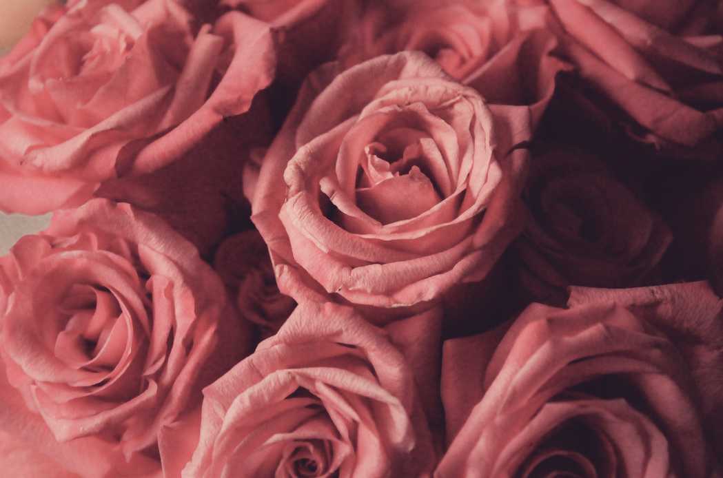 Flowers to use for wedding bouquet