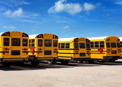 Yellow Buses — Livingston, LA —  Truck & Equipment Rentals