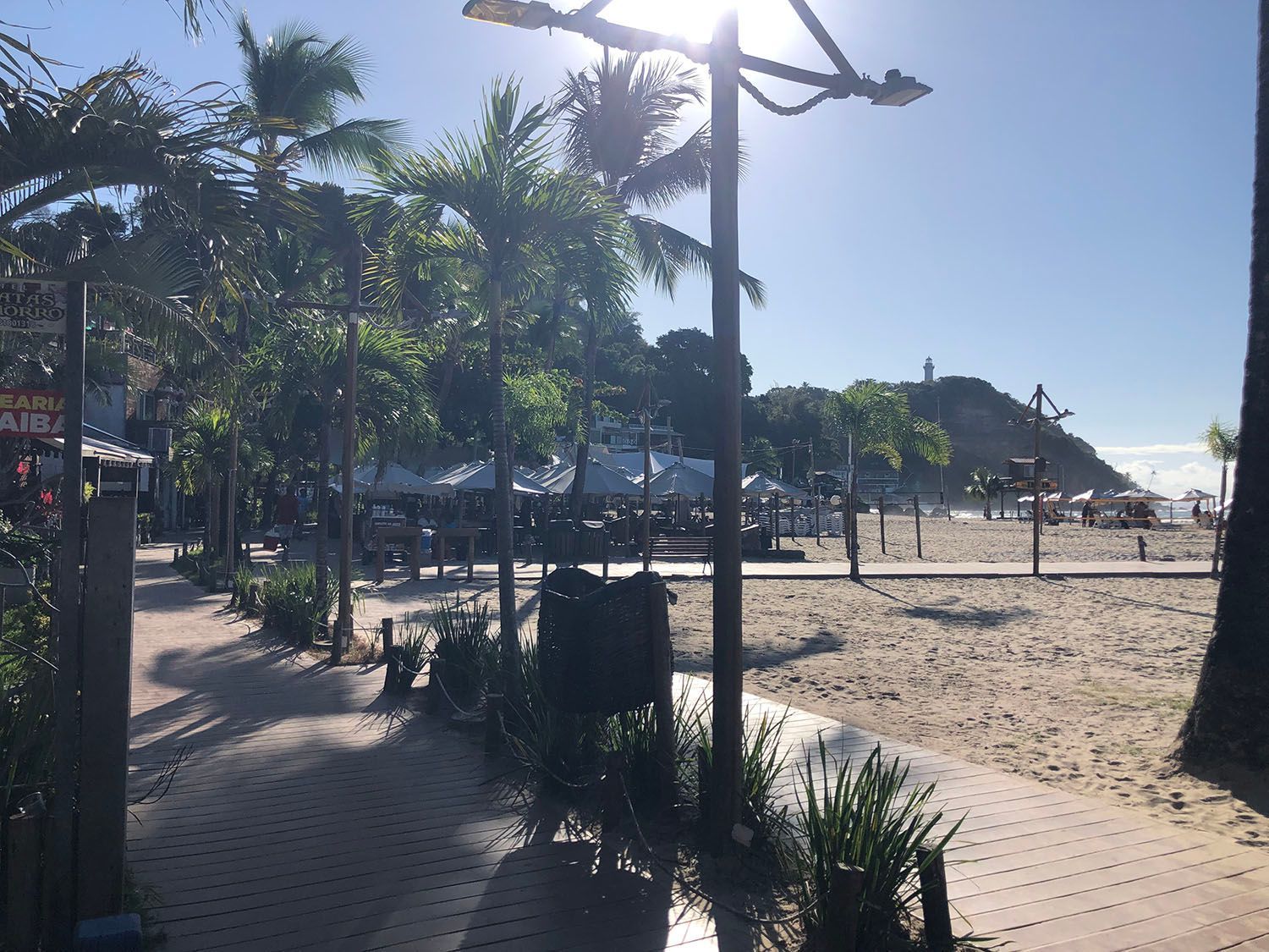 O sol está brilhando através das árvores na praia