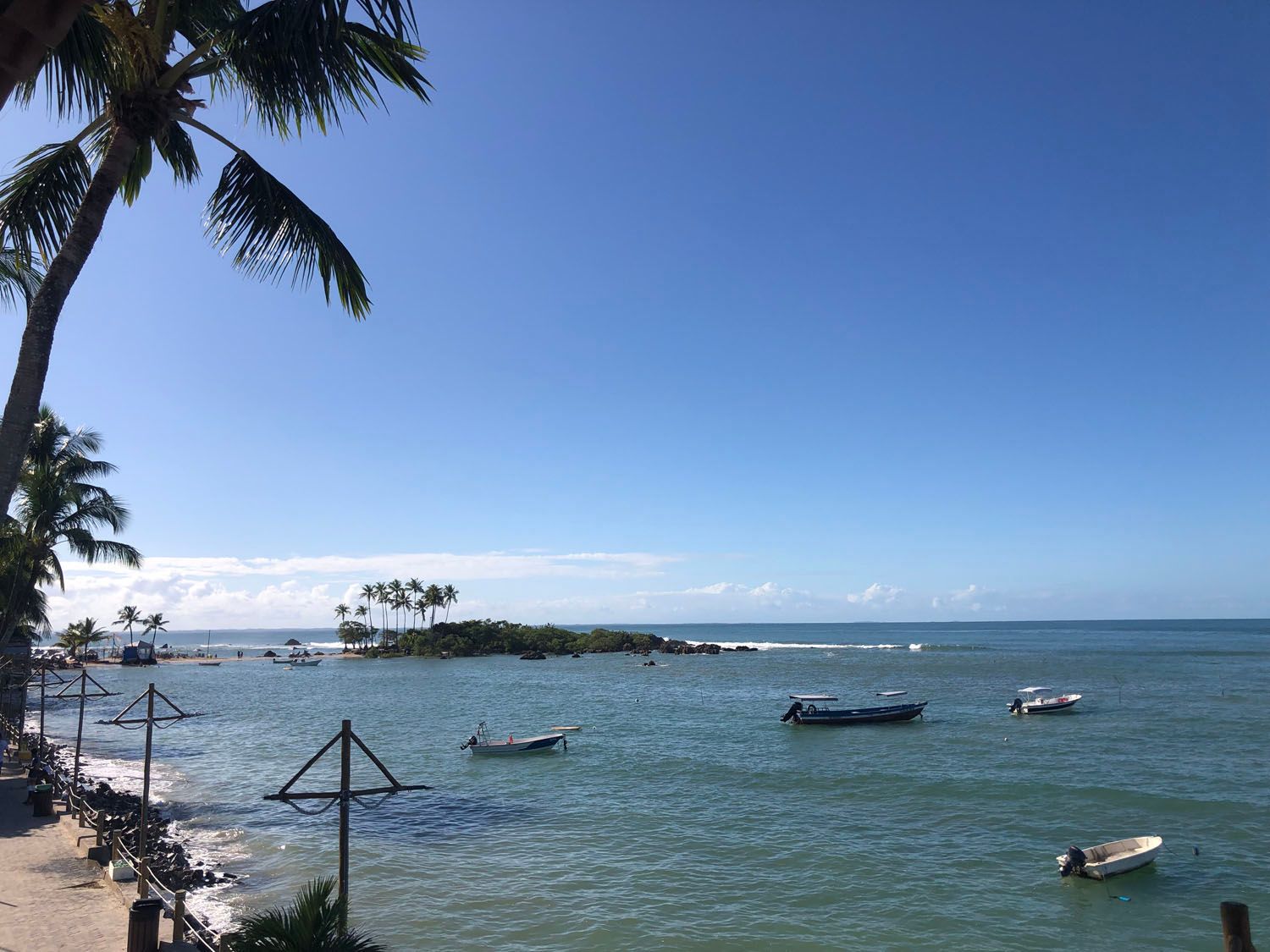 Alguns barcos estão na água perto de uma palmeira