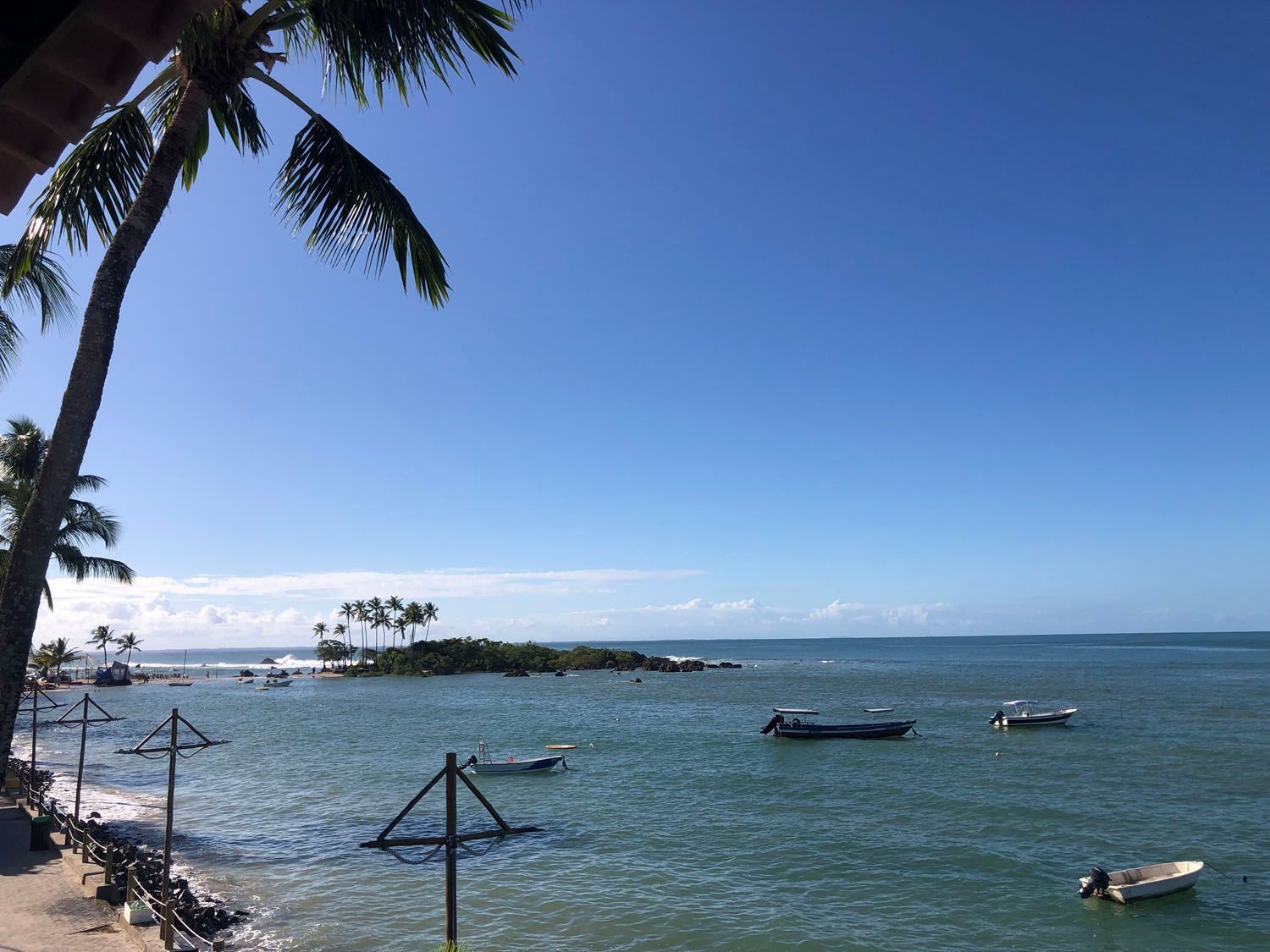 Alguns barcos estão na água perto de uma palmeira