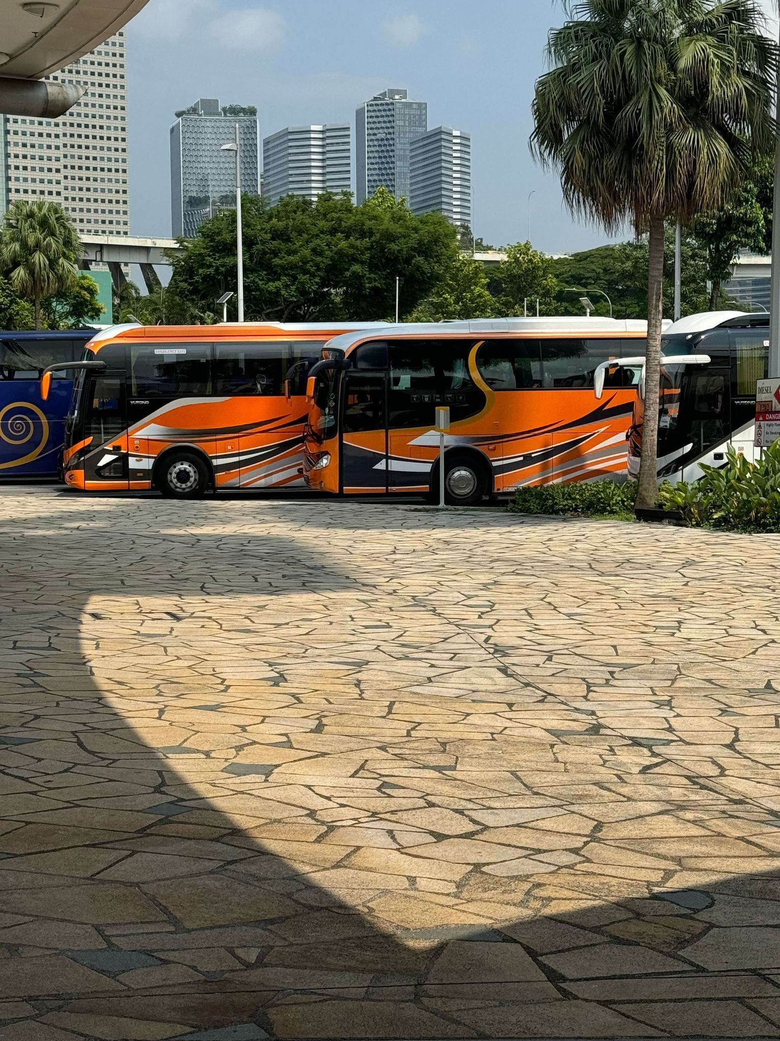 Two orange and black buses parked outside near a building with skyscrapers in the background.