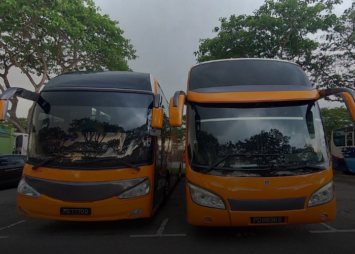 Two yellow buses parked side-by-side in a parking lot. Trees and overcast sky visible in the background.