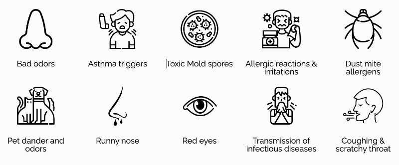 A set of icons showing different types of allergies.