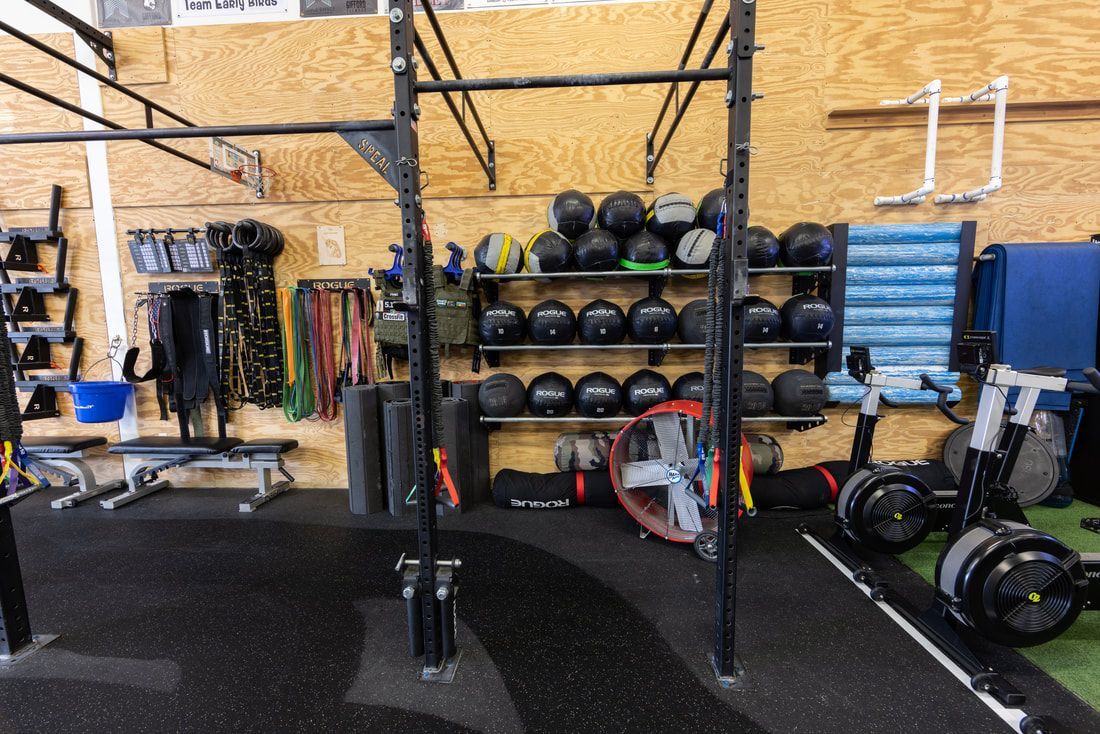 A gym filled with lots of exercise equipment and balls on shelves.