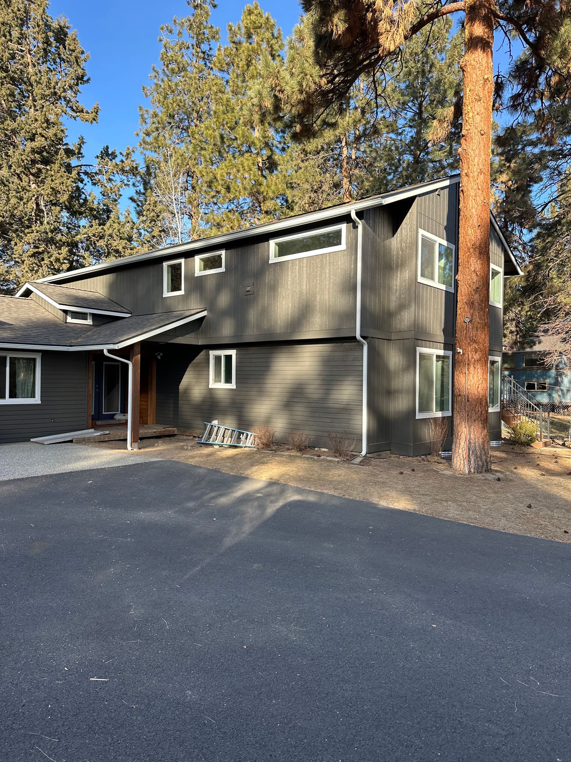 A large house with a lot of windows is surrounded by trees
