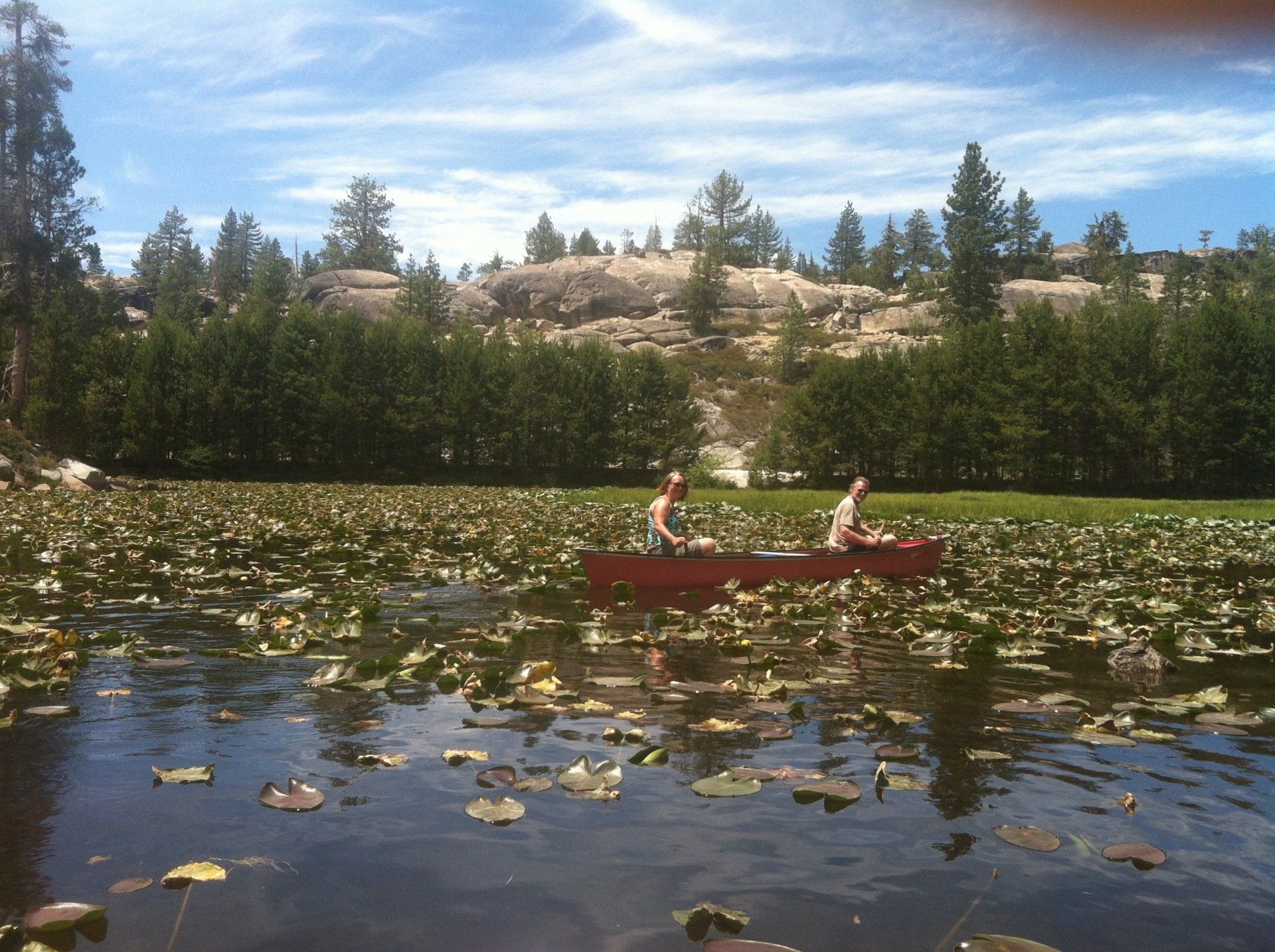 Points of Interest | Arnold Black Bear Inn - Arnold Ca