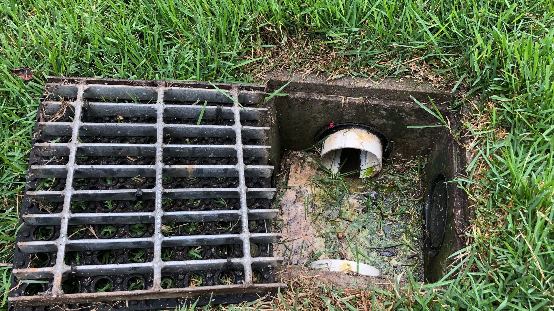 A manhole cover is sitting in the grass next to a drain.
