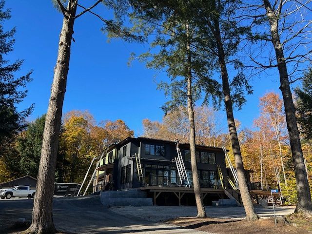 Modern dark house among tall trees on a sunny day