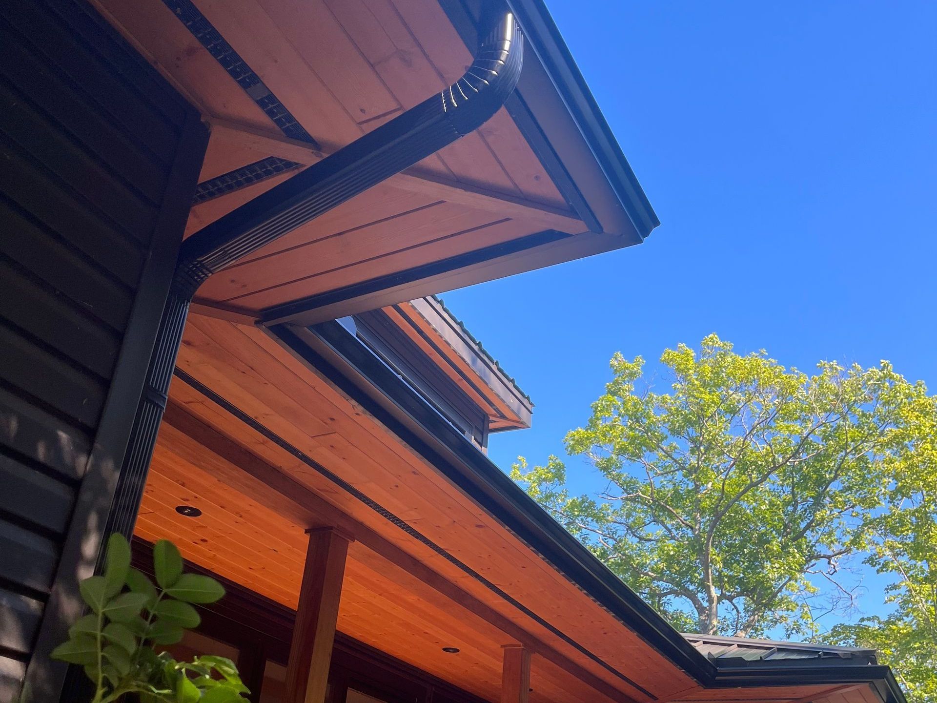 Looking up at the roof of a house with a tree in the background
