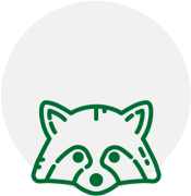 a green line drawing of a raccoon 's head in a circle on a white background.