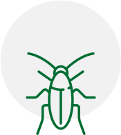 an icon of a cockroach in a circle on a white background .