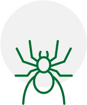 a green line drawing of a spider in a circle on a white background.