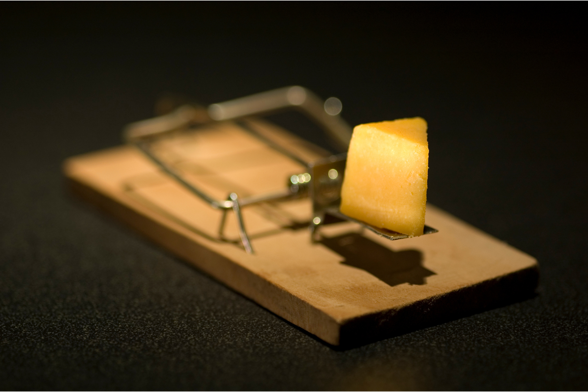 A mousetrap with a piece of cheese in it